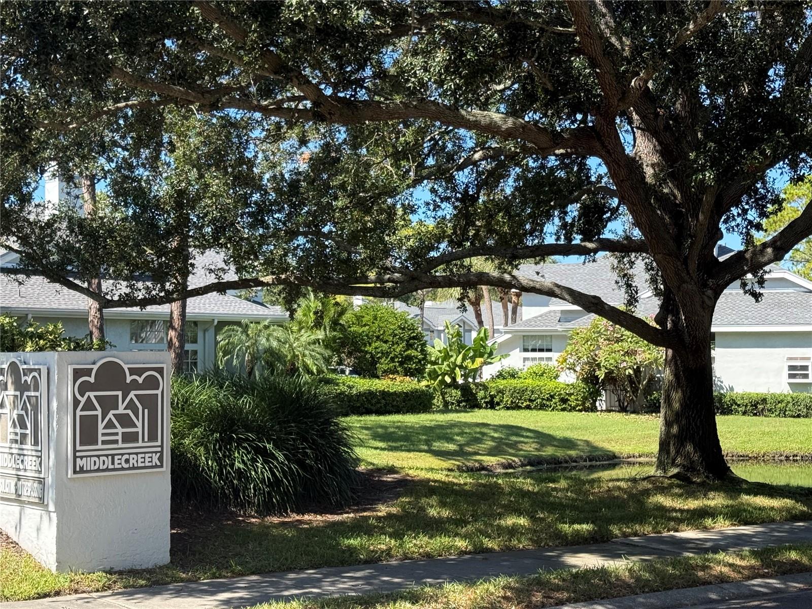 1988 GEORGIA CIRCLE S