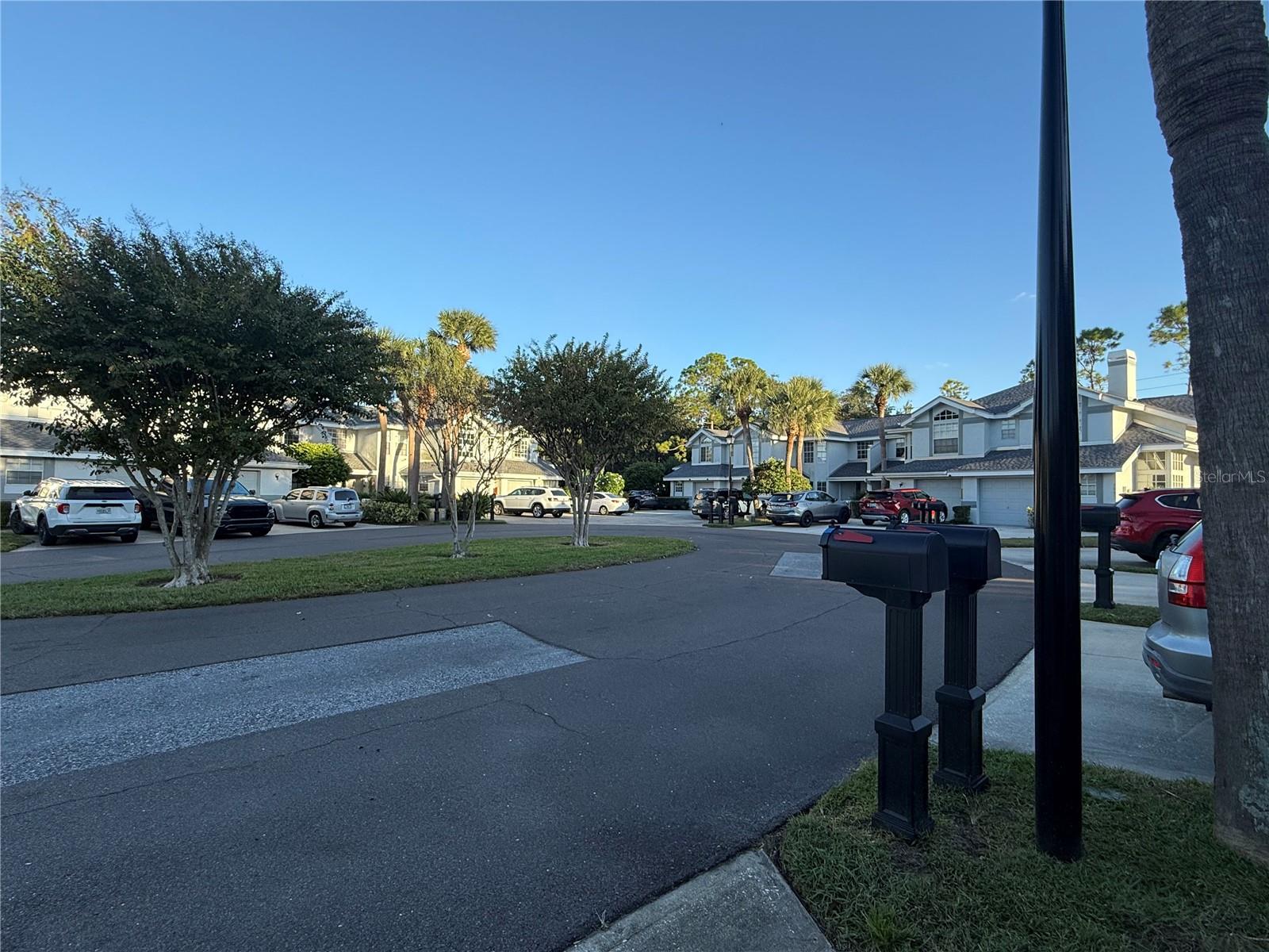 1988 GEORGIA CIRCLE S