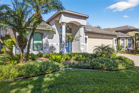 19145 CYPRESS GREEN DRIVE LUTZ FL 33558