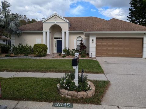 A home in PALM HARBOR