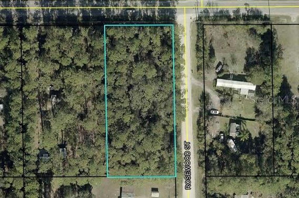 Photo of 4611 Mahogany Boulevard, Bunnell, FL 32110 (MLS # V4948378)