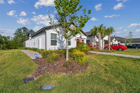 A home in LAND O LAKES