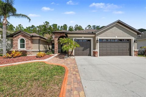 Photo of 1644 Beaconsfield Drive, Wesley Chapel, FL 33543 (MLS # TB8486423)