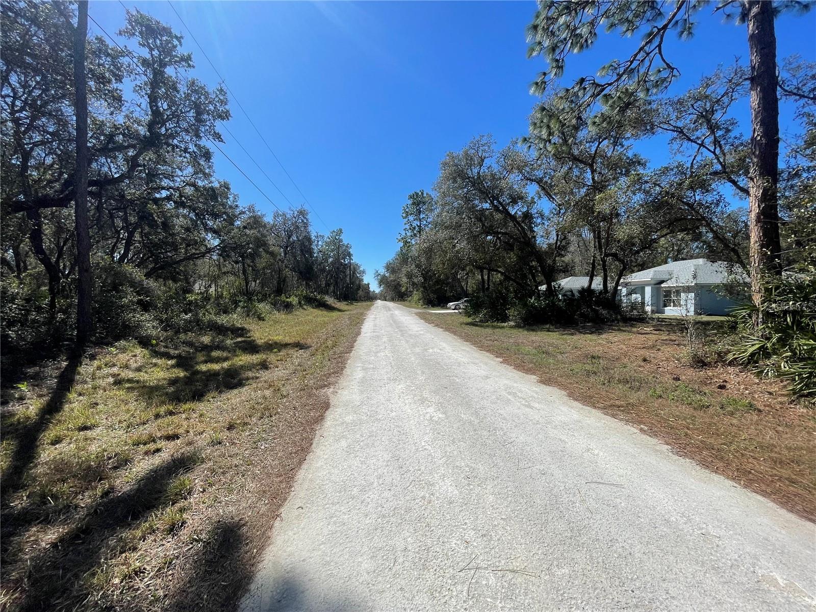 RIDGE MANOR ESTATE - Land