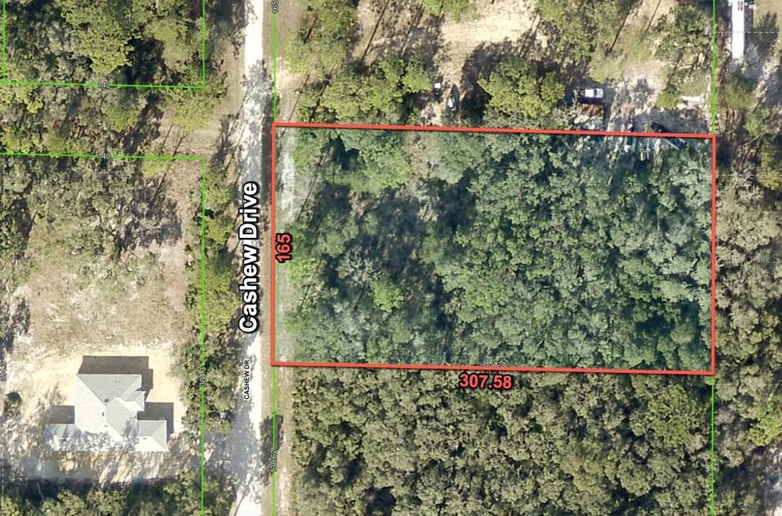 Easy, turnkey paradise.  All uplands, power in front on the street, and no flood zone.  This is the one you've been looking for!  High and dry and no flood zone!  Amazing 1.17 Acre, high and dry, lightly wooded lot with electricity in front of the property on the street.  Build your dream home today or invest in your future!  Located in the Ridge Manor subdivision in Hernando  County.   Welcome to Florida's Adventure Coast, abundant with rivers and springs, state forests and preserves, and the waters of the Gulf coast.  Land and water adventures await you arrival.   Go hiking, biking, riding, boating and more.  Shopping, dining, and entertainment are all nearby.   Easy access to I-75, US 301 and SR 50 make Ocala, Orlando, and the Tampa Bay area all an easy commute.   Buy this 1.17 acre lot today for a quick cash price of $33,700.  That's below nearby comparable sales and Way below nearby properties on the market!   
8290 Cashew Drive:  The subject is a vacant lot and does not yet have an assigned address.  The address used is for listing purposes only and is based on online mapping sources.  North on US 301 (Tremaine Blvd) from Cortez Blvd (SR 50) for approx. 2.8 miles.  Right turn (East) on Butternut Drive for .2 miles to Cashew Drive. Left turn (north) on Cashew Drive.  The subject will be on your right, approximately .1 mile down.  This is across from the existing home with an address of 8285 Cashew Drive, and is also the southeast corner of Cashew Dr and Nutmeg Dr.