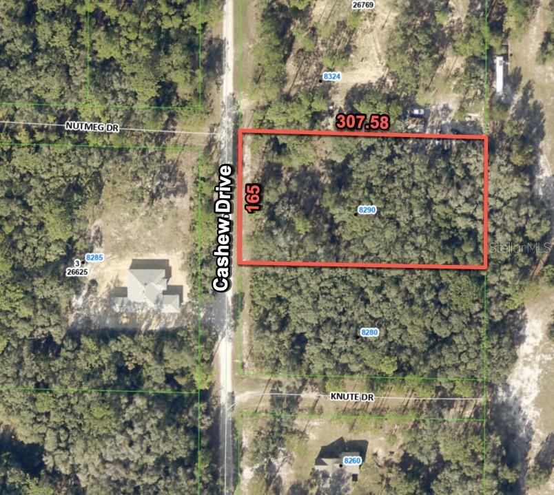 RIDGE MANOR ESTATE - Land