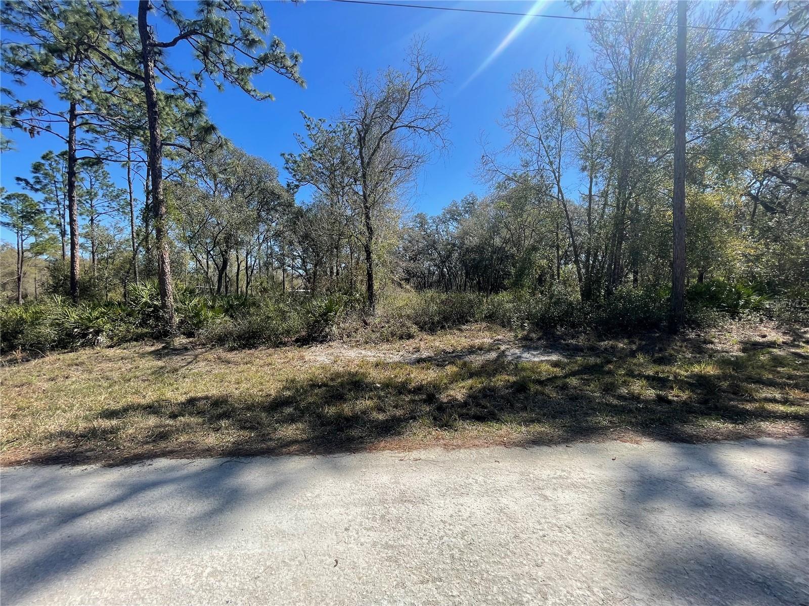 RIDGE MANOR ESTATE - Land