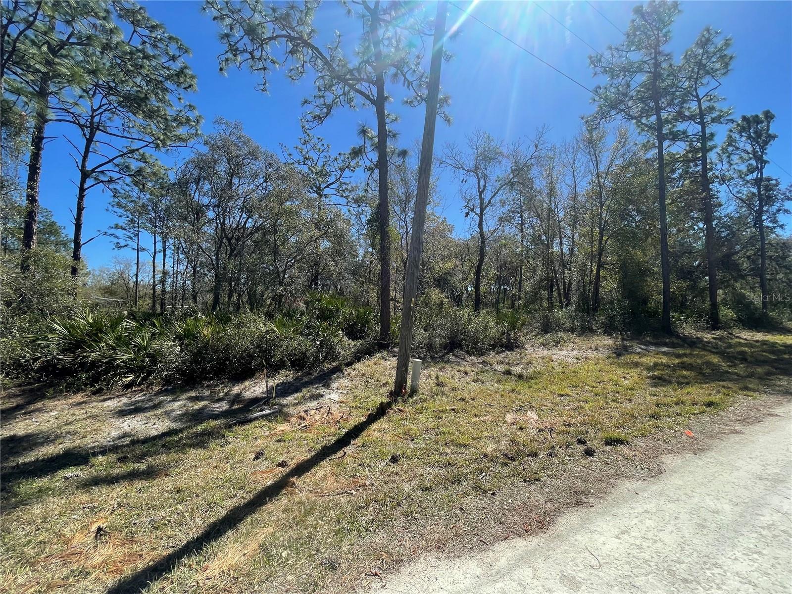 RIDGE MANOR ESTATE - Land