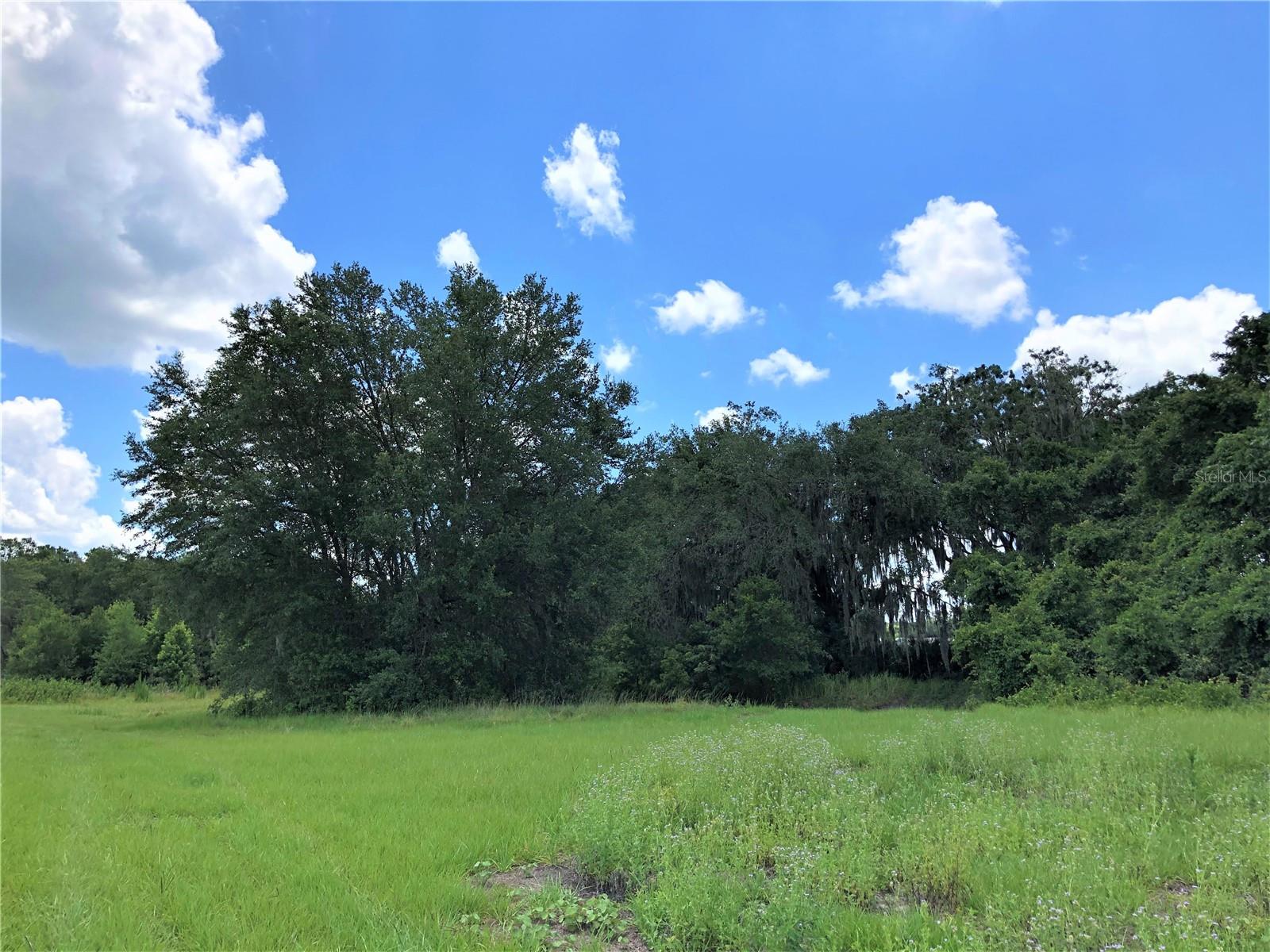 Photo 12 of 73 of 7239 S COUNTY LINE ROAD land