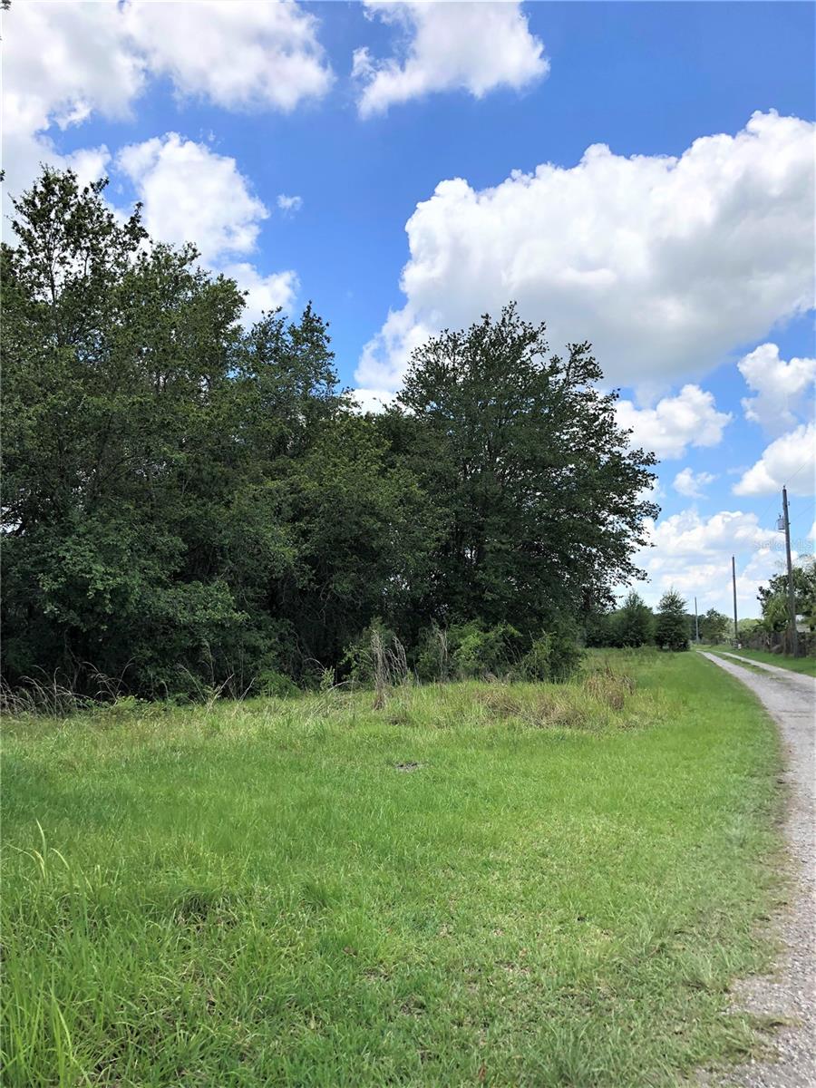 Photo 5 of 73 of 7239 S COUNTY LINE ROAD land