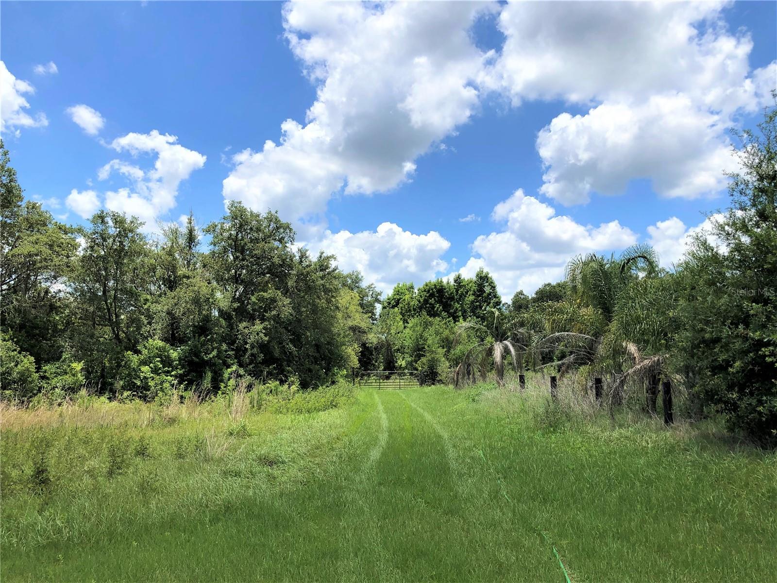 Photo 8 of 73 of 7239 S COUNTY LINE ROAD land