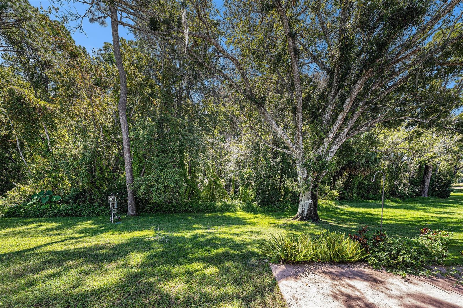 VALLEY WOOD 02 - Residential