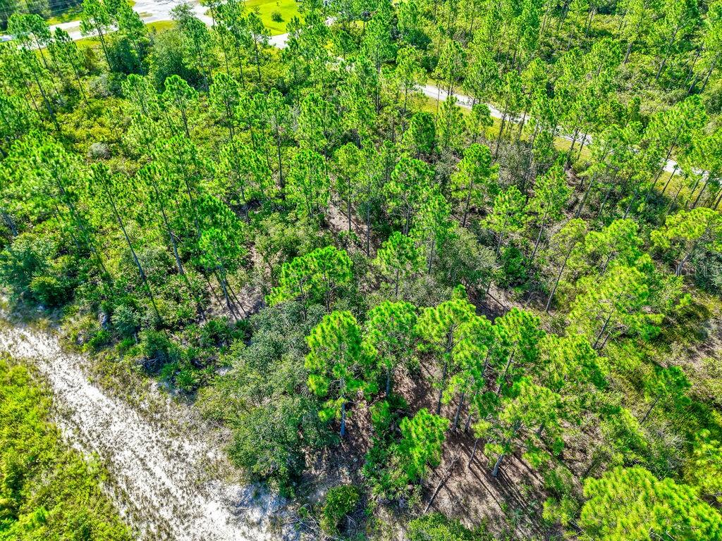 INDIAN LAKE ESTATES - Land