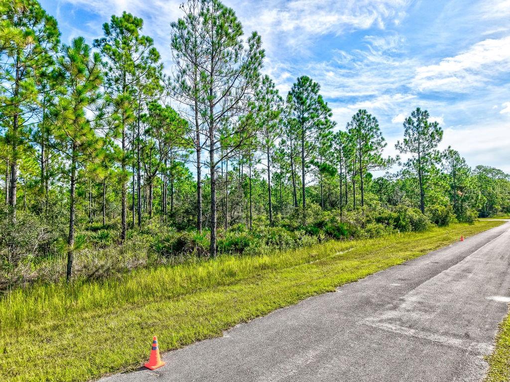 INDIAN LAKE ESTATES - Land
