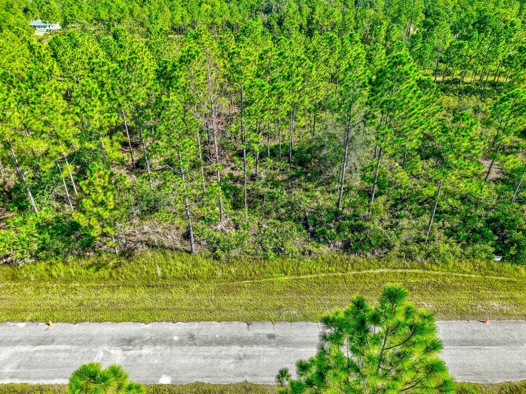 INDIAN LAKE ESTATES - Land