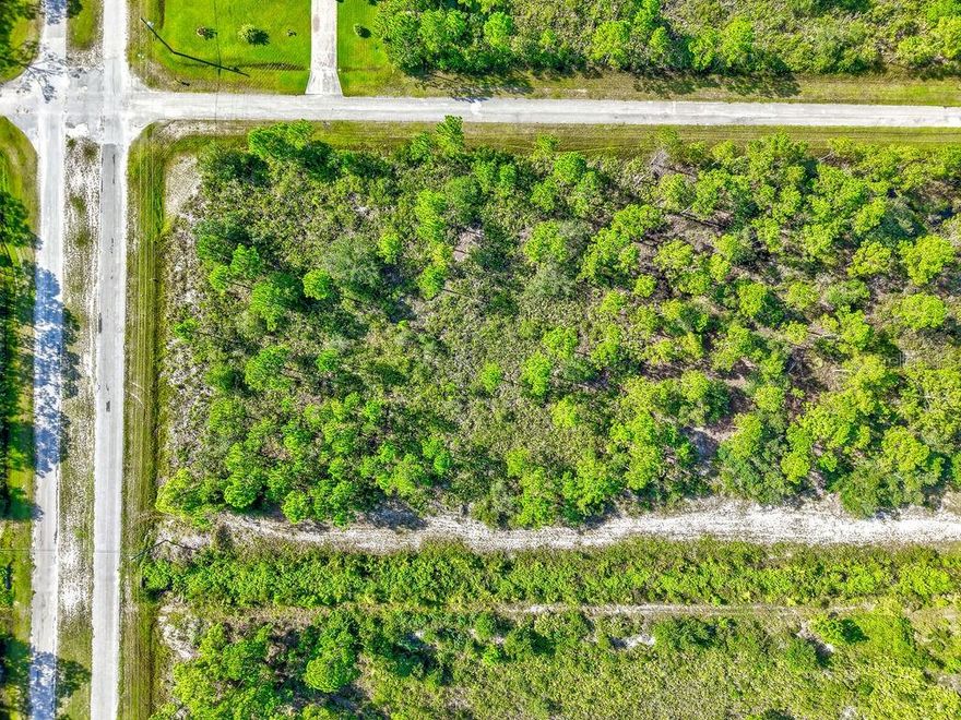 Build your dream home on this spacious 0.5-acre residential lot located in the desirable community of Indian Lake Estates. Known for its peaceful setting and resort-style amenities, this gated neighborhood offers residents access to an 18-hole golf course, pro shop, clubhouse, fitness center, and restaurant. Nature and recreation lovers will enjoy Lake Walk-in-Water, one of Central Florida’s premier fishing and boating lakes, complete with a community marina, boat ramp, and fishing pier. The community also features tennis and pickleball courts, shuffleboard, and miles of scenic roads perfect for walking or biking. Conveniently located between Tampa and Orlando, Indian Lake Estates offers the perfect blend of quiet country living with easy access to city conveniences. Don’t miss this chance to own a piece of Florida paradise in a growing community! Call for more details today!!!