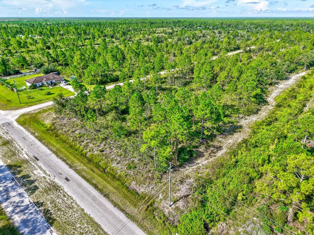 INDIAN LAKE ESTATES - Land