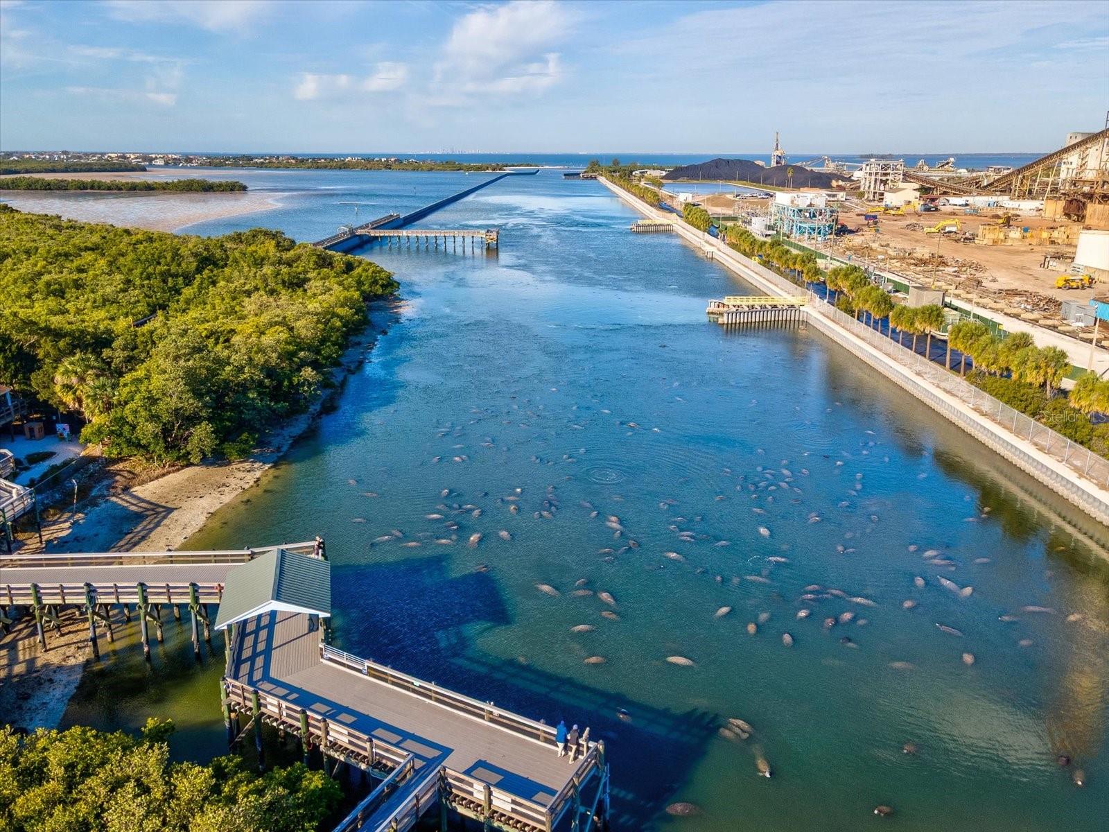 APOLLO BEACH UNIT TWO - Residential