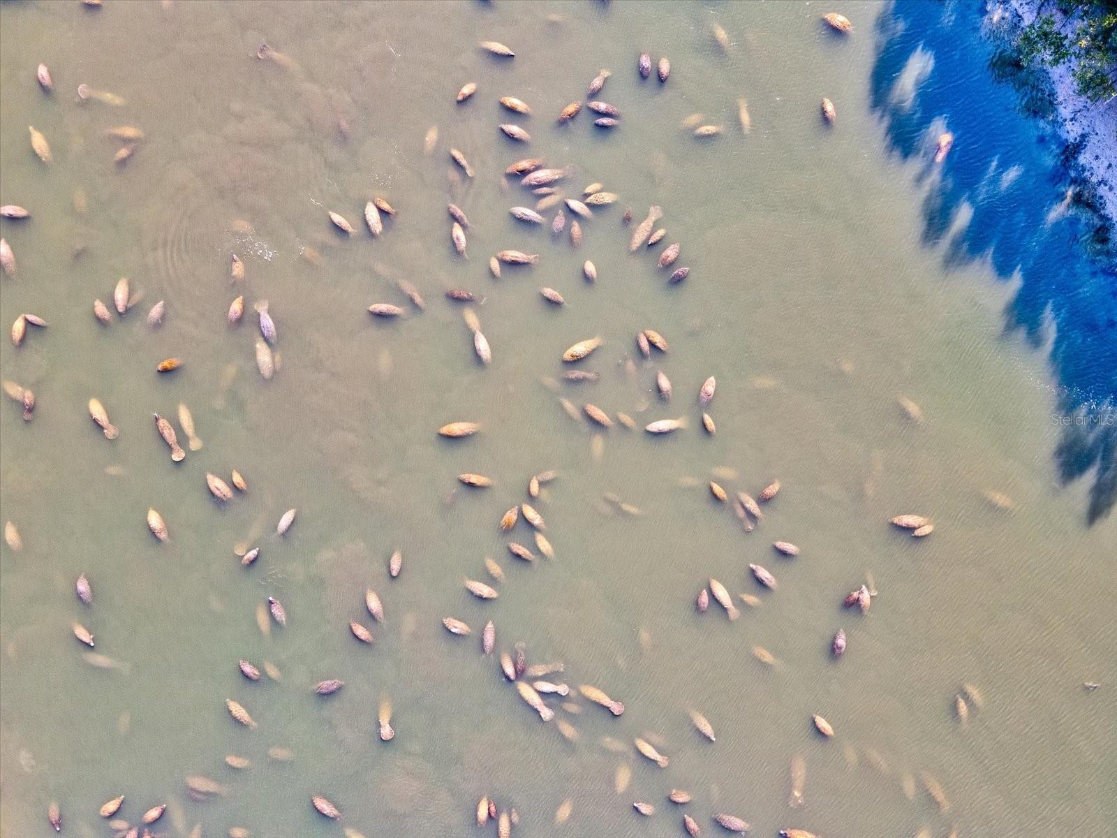 APOLLO BEACH UNIT TWO - Residential