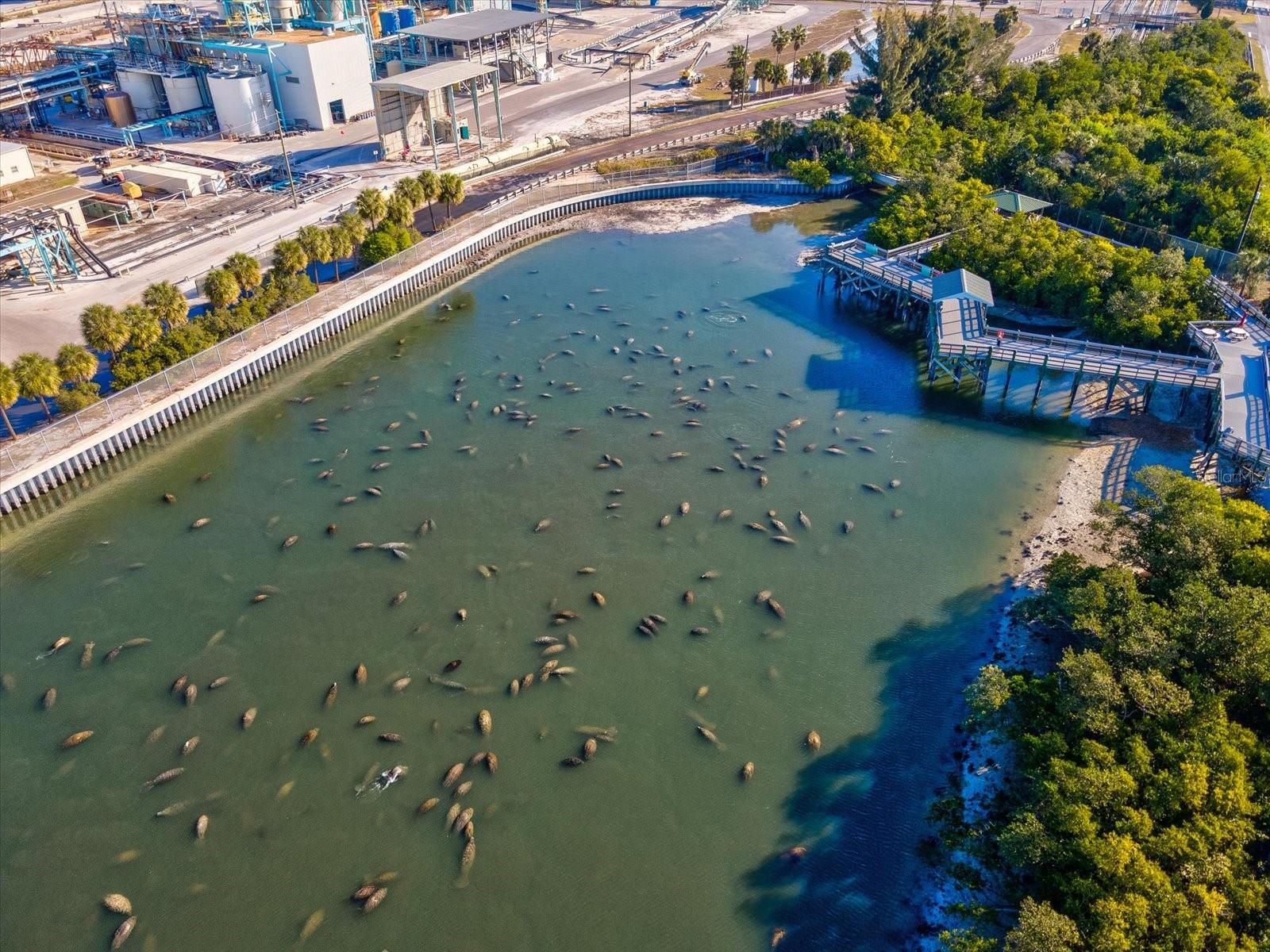 APOLLO BEACH UNIT TWO - Residential