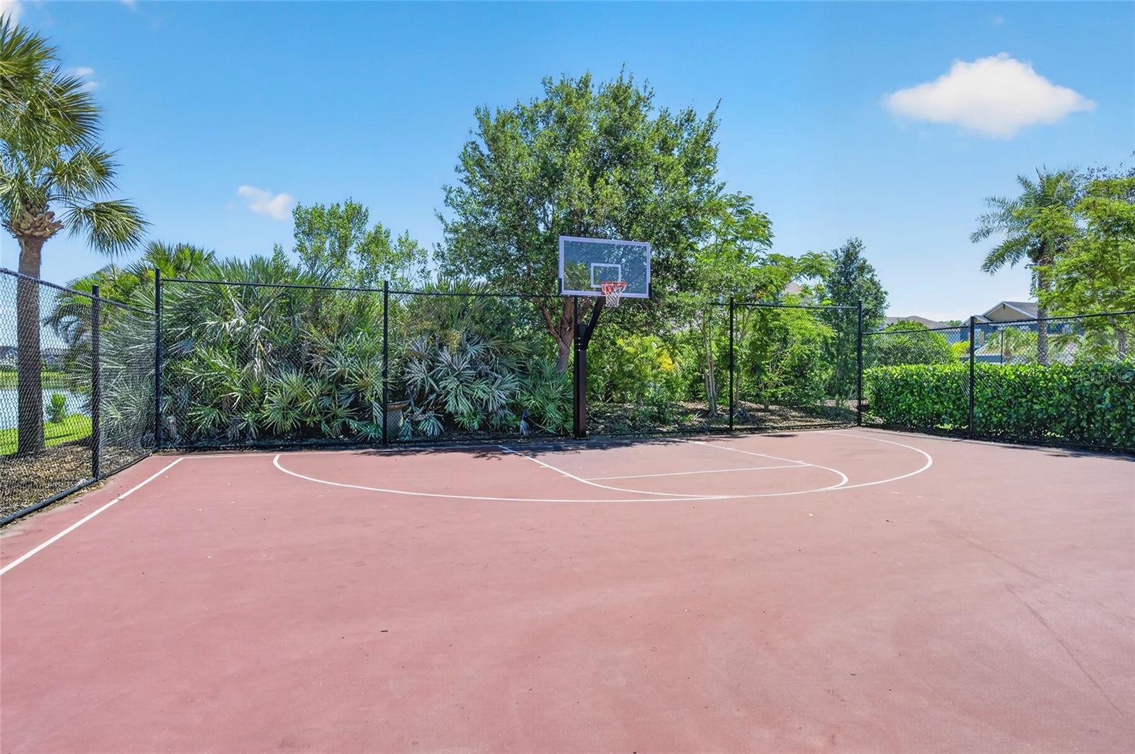 ARBOR LAKES ON PALMER RANCH - Residential