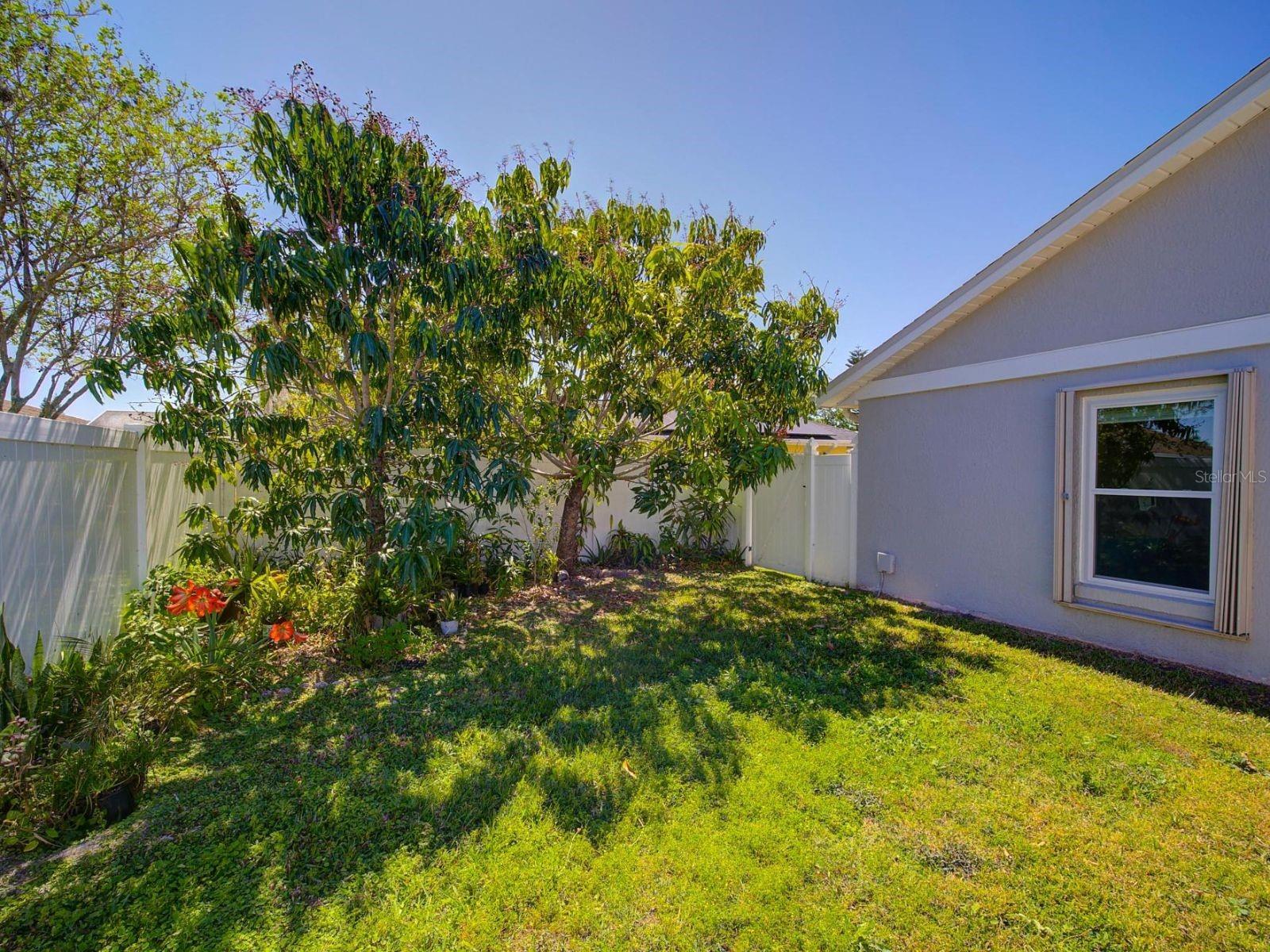 FOREST RIDGE - Residential