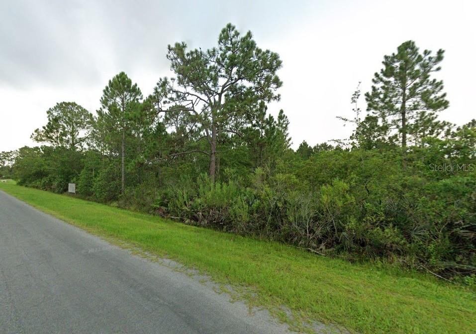 CAPE ORLANDO ESTATES - Land