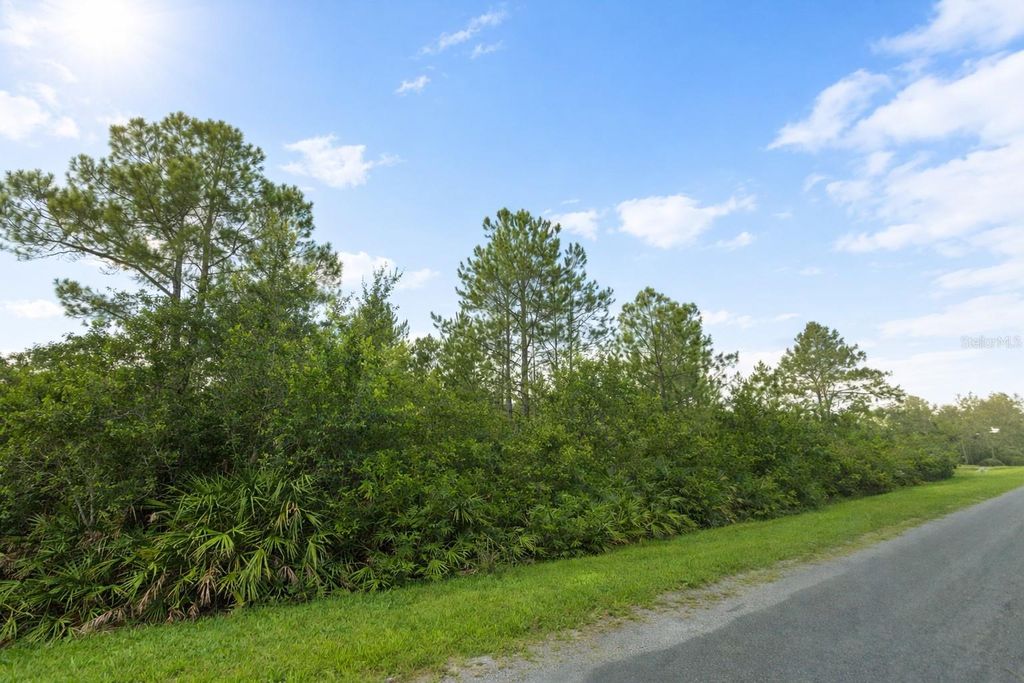 Photo of 18715 Sodbury Street, Orlando, FL 32833 (MLS # O6369041)