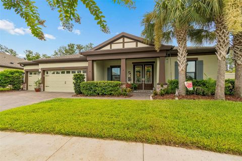 Photo of 21882 Butterfly Kiss Drive, Land O Lakes, FL 34637 (MLS # TB8523568)
