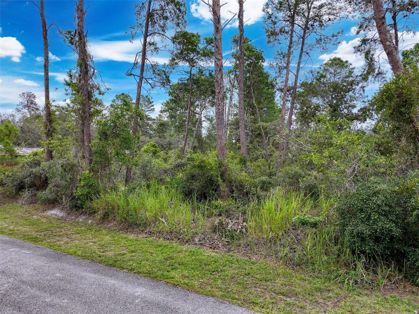 MOON LAKE ESTATES - Land