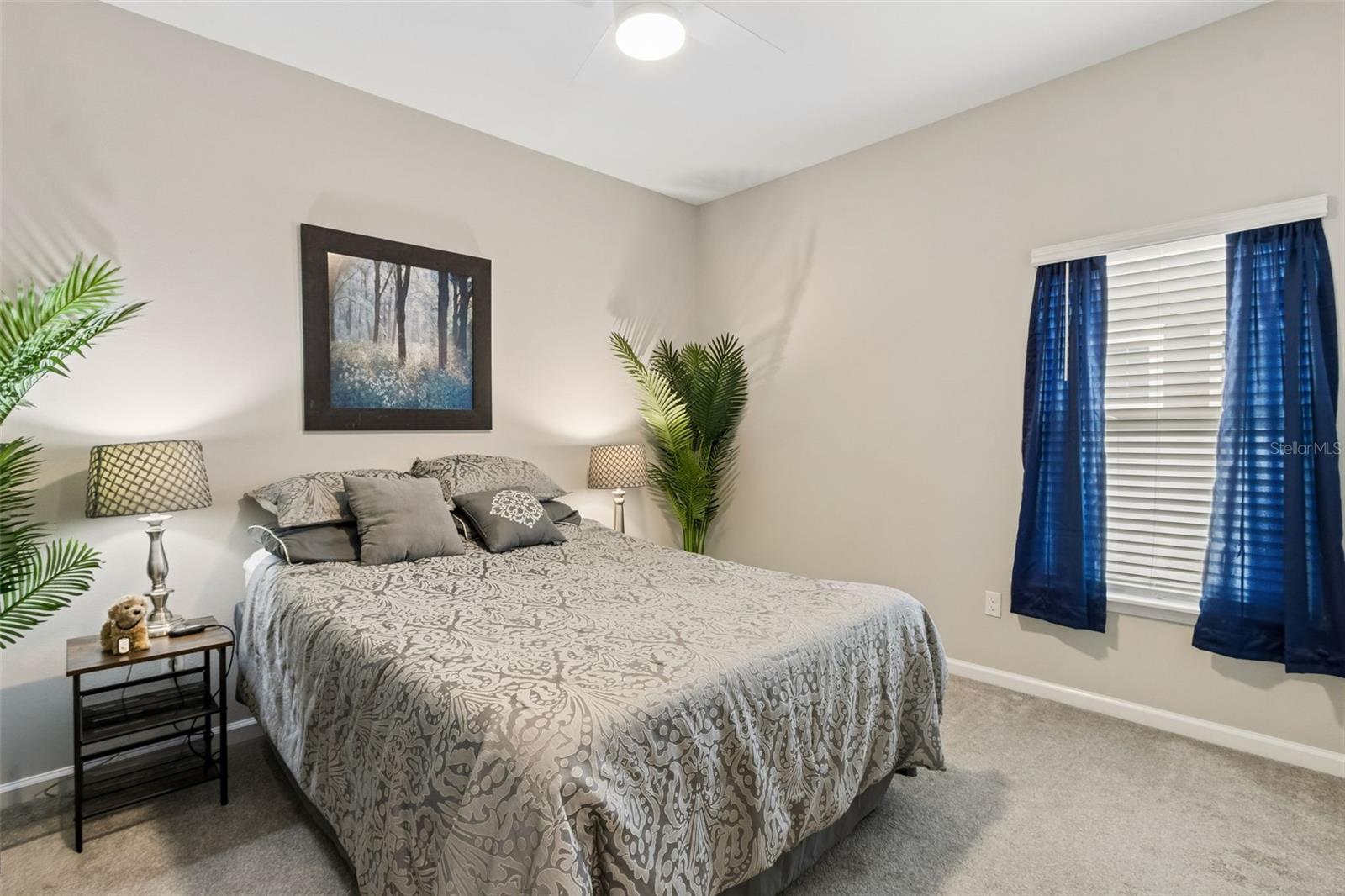 EAST NASSAU-WILDLIGHT PH 1A - Residential