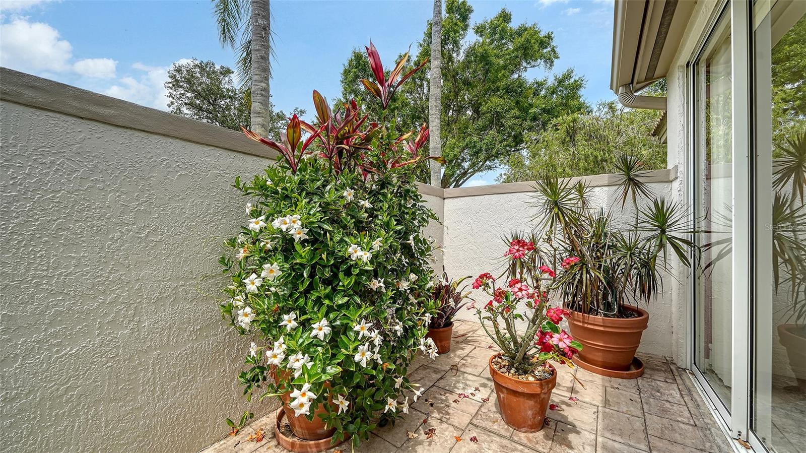 CHATSWORTH GREENE -  THE HIGHLANDS - THE MEADOWS - Residential