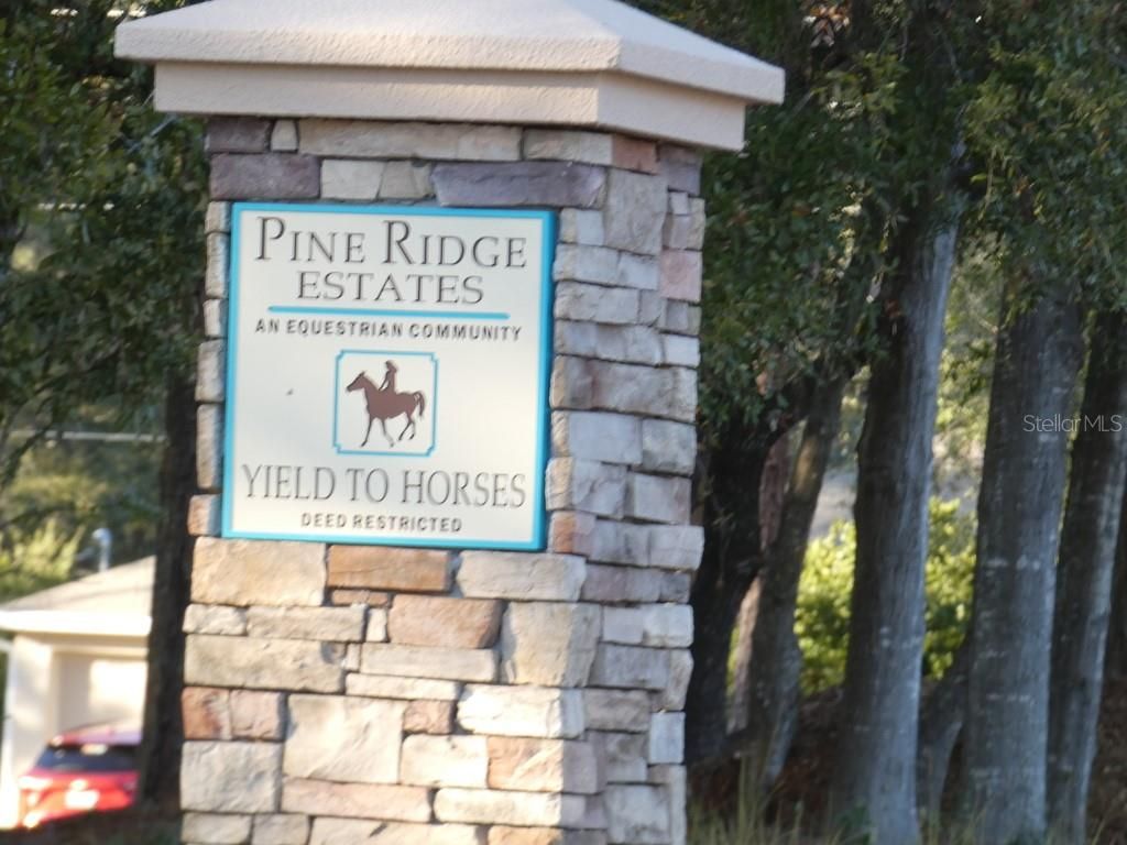 Photo of 4571 N Rushmore Loop, Beverly Hills, FL 34465 (MLS # W7882614)