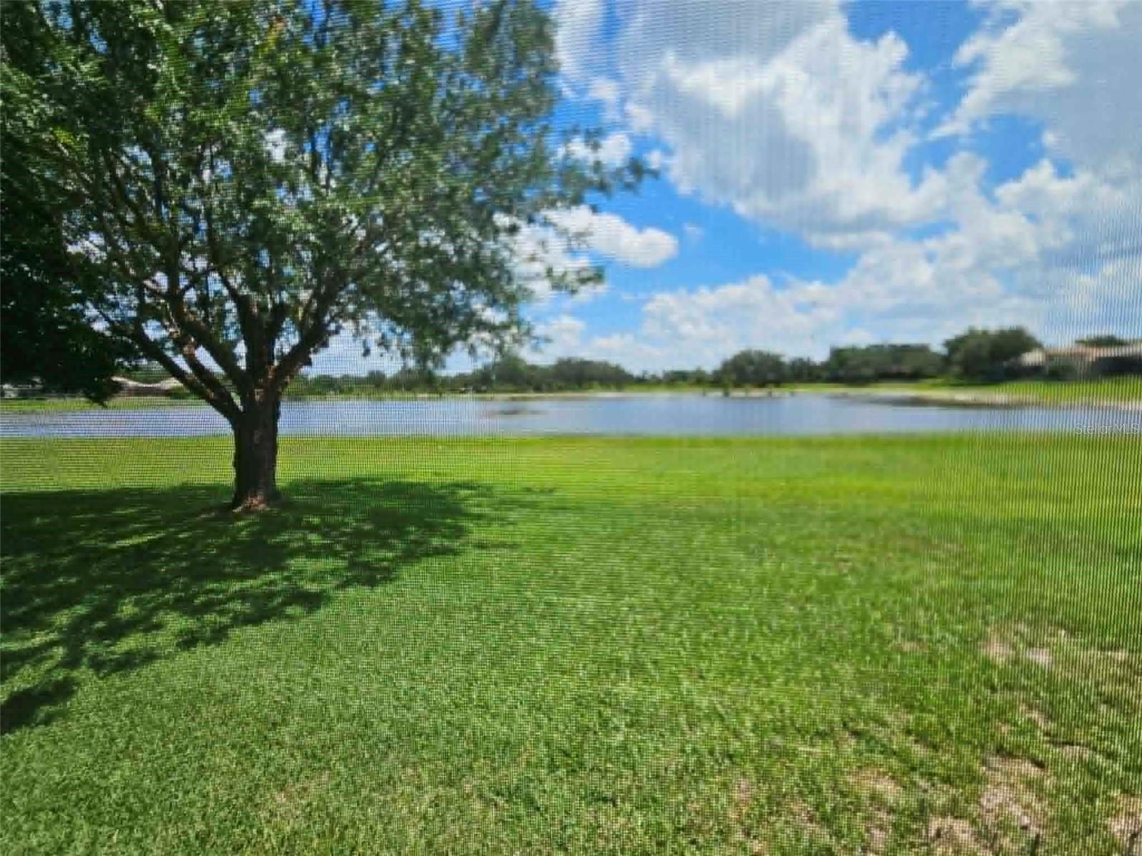 1206 SAINT ALBANS LOOP