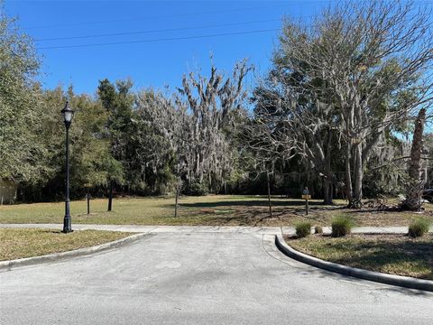 116 DR MARTIN LUTHER KING JR AVENUE INVERNESS FL 34450