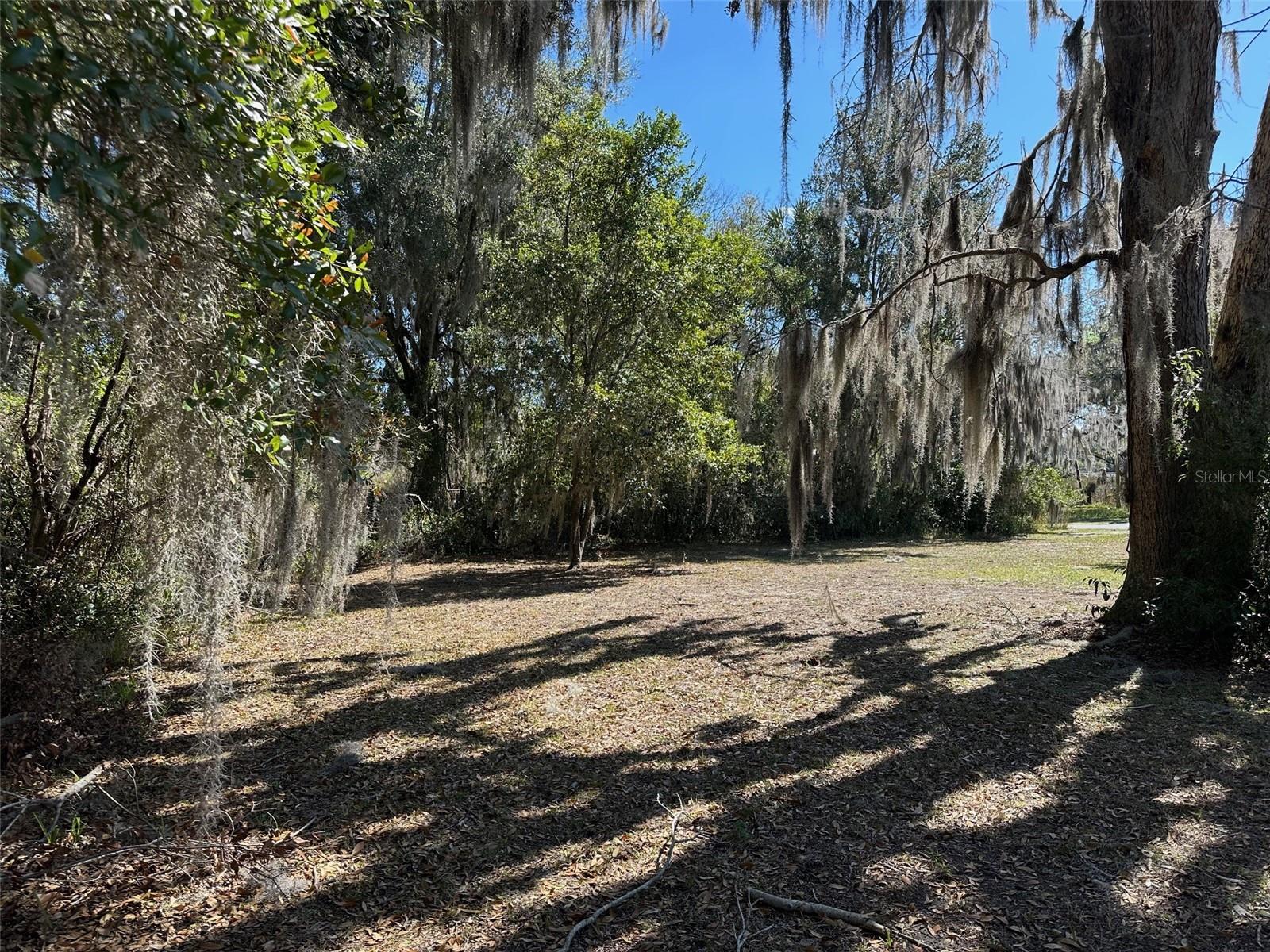 116 DR MARTIN LUTHER KING JR AVENUE