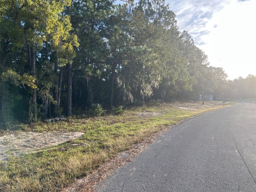 Photo of SW 140th Place Road, Ocala, FL 34473 (MLS # OM712179)