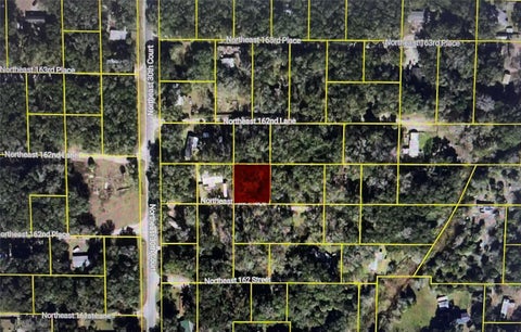 Photo of 3129 NE 162nd Place, Citra, FL 32113 (MLS # OM731231)