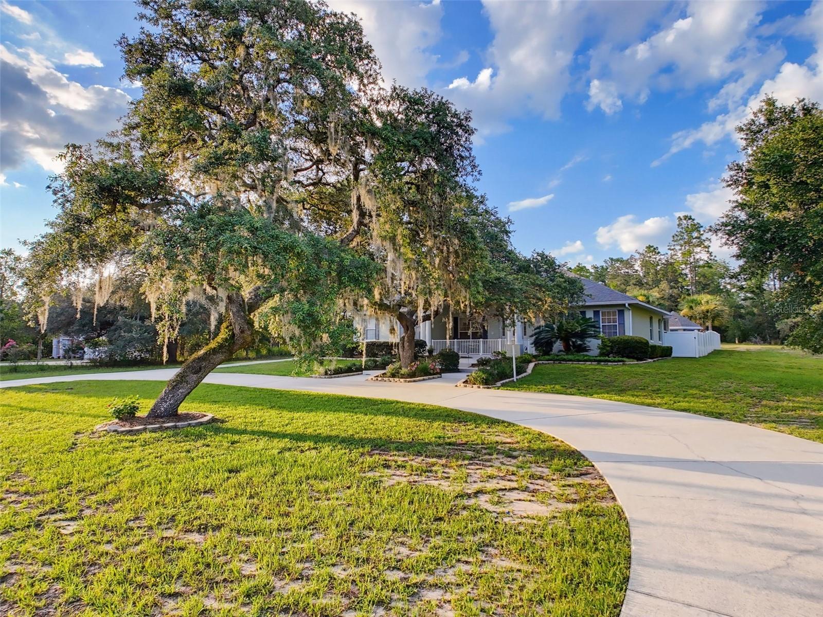 1709 W PINE RIDGE BOULEVARD