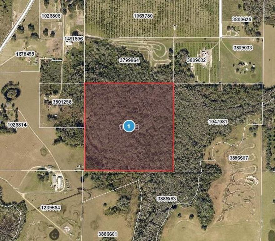 Priced for a quick sell. Raw land-no utilities, Zoned AG, no deed restrictions. Located on easement road.