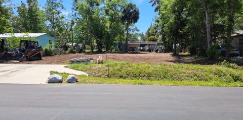 ARMADILLO RD ASTOR FL 32102