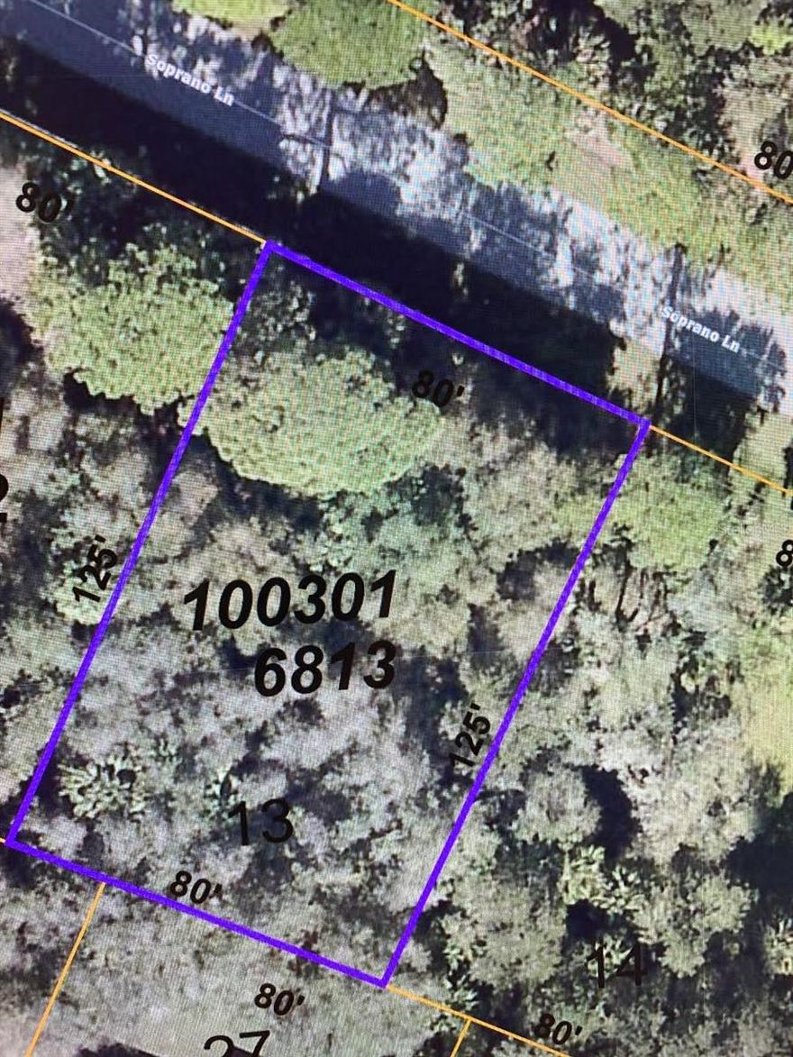 Come see THIS lot situated on a quiet residential street. Level and buildable, these parcels are located within a low risk (X) flood zone. These parcels will require a well & septic system. From this location, you are under two miles from shopping and multiple dining options. Take a drive; this might be the spot for your new home or investment. Must SEE! Build your dream home!  Two lots available, side-by-side!  Nearby to schools, shopping, dining, beaches, parks and entertainment.