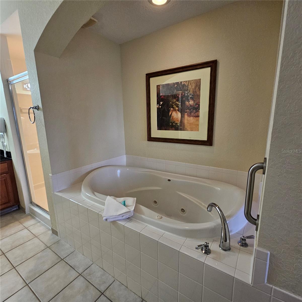 LAKE BUENA VISTA RESIDENCE VILLAGE 02 - Residential