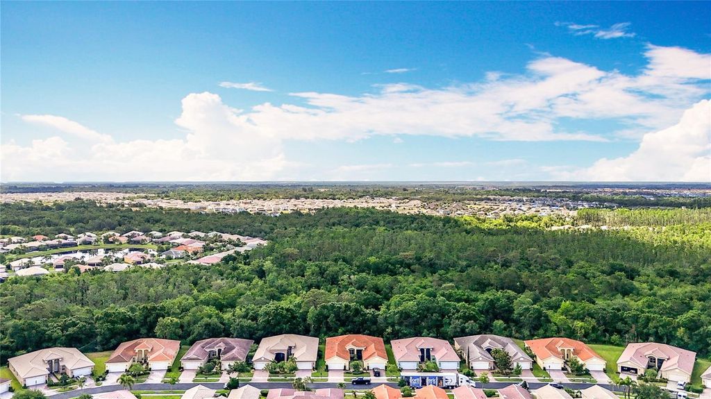 Photo of 16142 Amethyst Key Drive, Wimauma, FL 33598 (MLS # TB8383904)