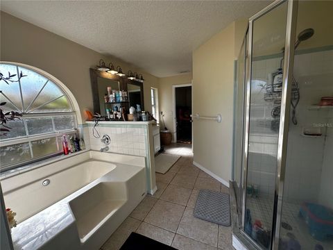 Tiny photo for 17302 2nd Street, Montverde, FL 34756 (MLS # O6322617)