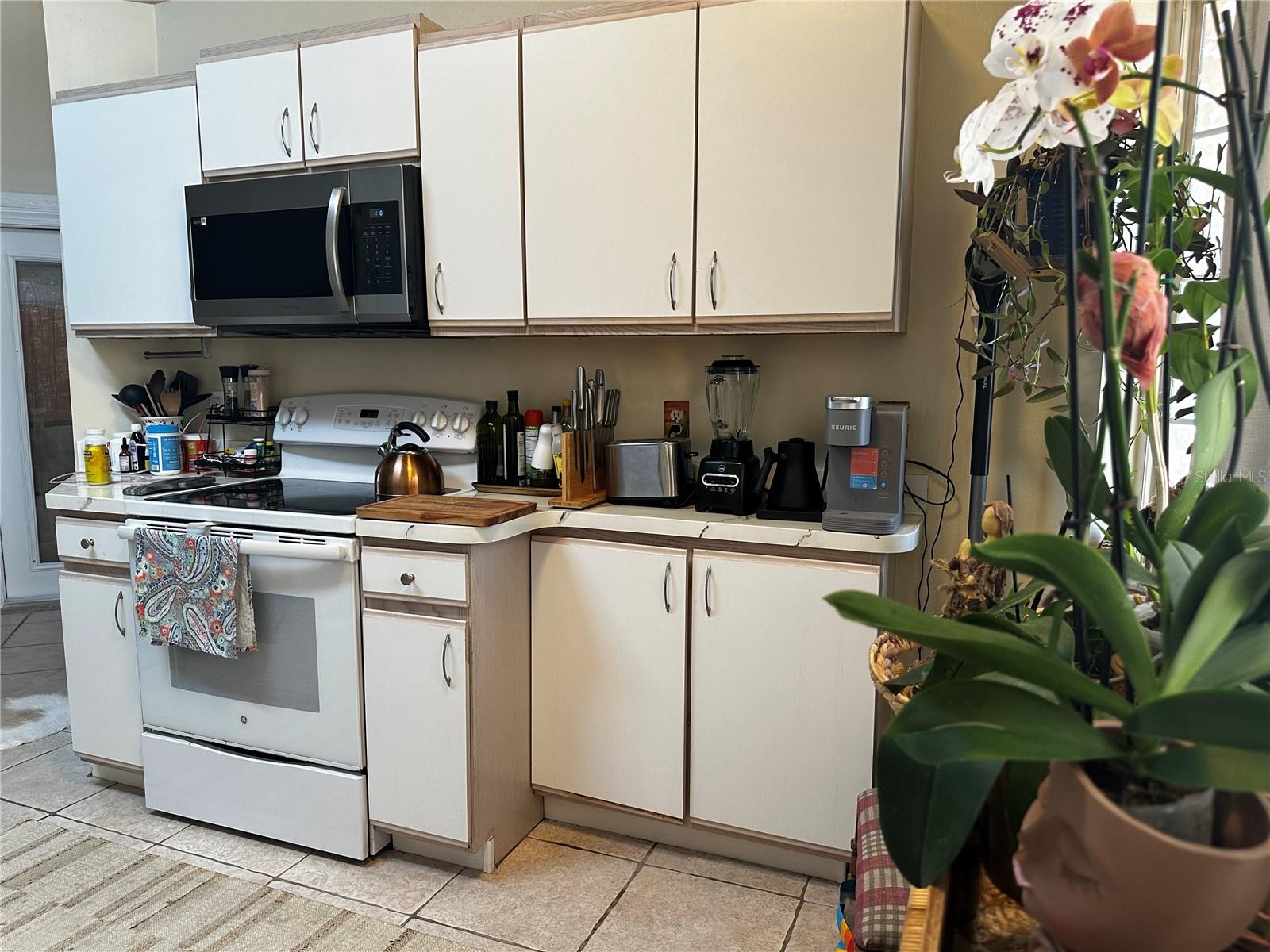 MONTVERDE COUNTRY MEADOWS PT REP TR A - Residential