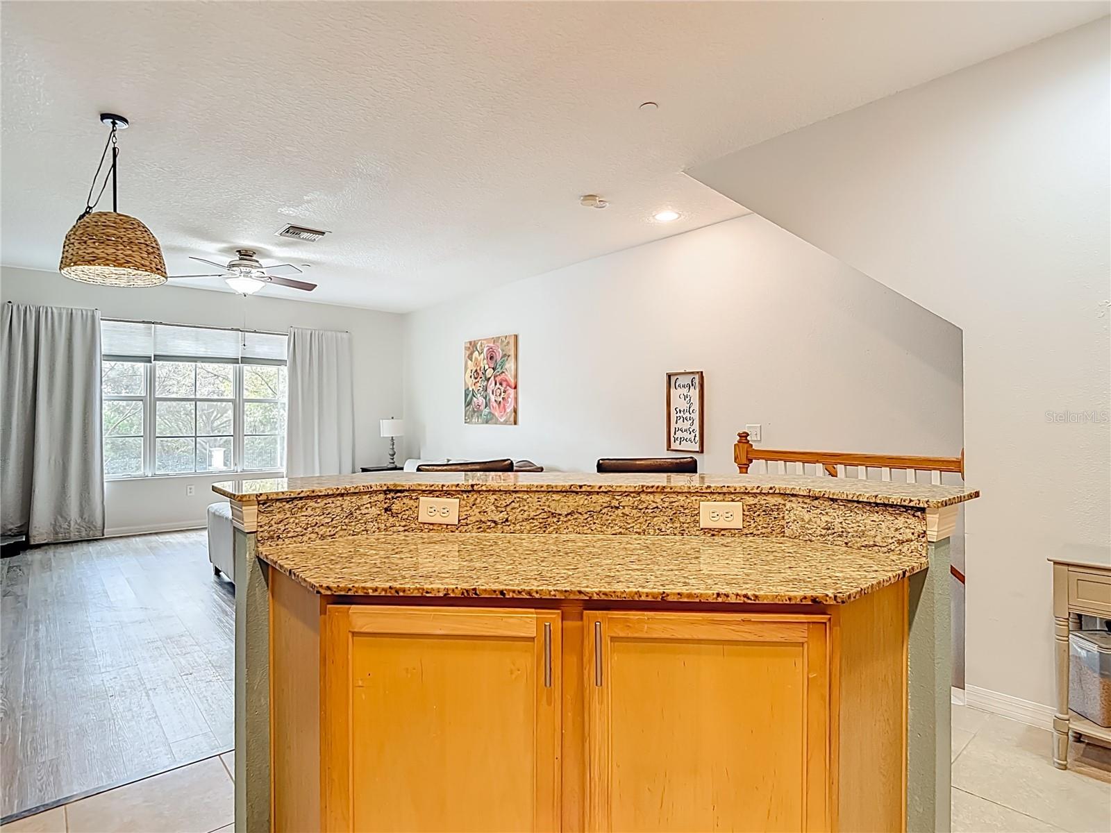 LAKE BRANDON - Residential