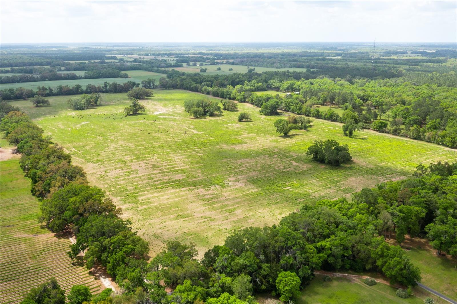 Lot 3 TBD SW 220TH DRIVE
