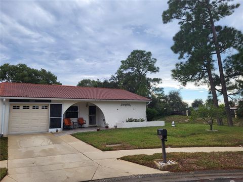 Photo of 11321 Stansberry Drive, Port Richey, FL 34668 (MLS # W7880610)