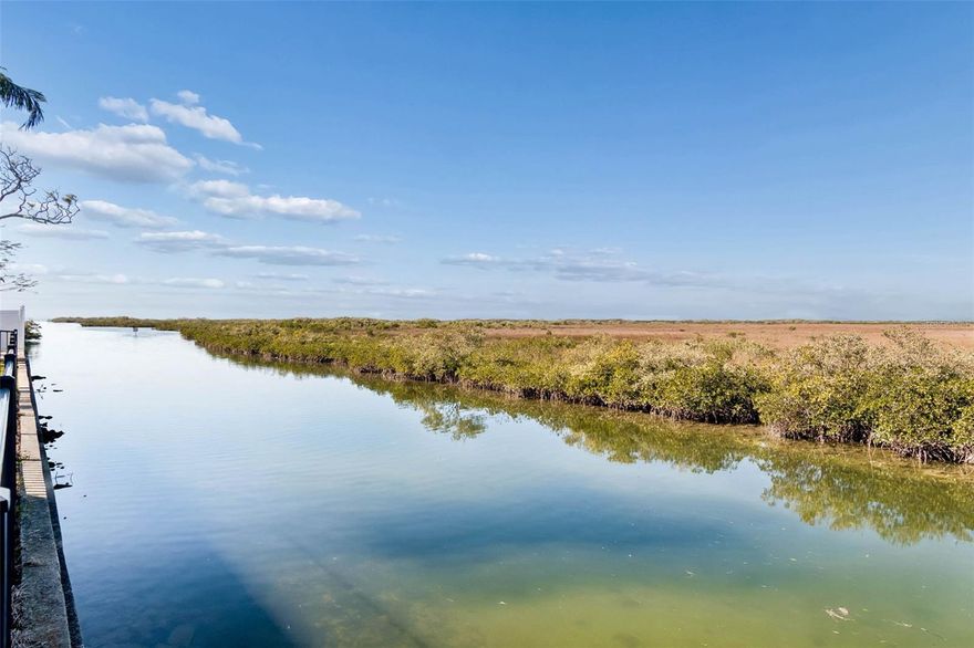 Direct Gulf access, positioned on a prime elevated home site, a rare and valuable advantage for coastal living. This three-bedroom, two-bath waterfront pool home is ideally situated on a quiet cul-de-sac, offering the ultimate Florida coastal lifestyle. The property showcases sweeping views of marshlands, nature preserves and Gulf waters—creating a rare blend of privacy, beauty, and convenience.  An added benefit…. this exceptional residence has not experienced flooding and has remained free of storm or hurricane damage.  Designed for both comfort and entertaining, the home features a flowing open layout that leads seamlessly to a large covered porch and an elegantly designed pool with expansive decking overlooking the waterway. From your backyard, enjoy a thoughtfully designed dock system featuring a floating dock for easy loading and unloading of your boat, along with a fixed dock equipped with a 10,000-lb boat lift, providing effortless access to the water. Lower your boat and reach the open Gulf in approximately two minutes, making this a true boater’s dream.    The fully fenced property is enhanced by lush landscaping, offering a private and tranquil setting. Inside, the home showcases refined finishes, striking brick accents, rich wood details, and expansive water views that fill the living spaces with natural light and a strong connection to the outdoors.    The gourmet kitchen is thoughtfully appointed with stainless steel appliances, a center island, and an open dining area ideal for hosting family and guests. A charming brick wood-burning fireplace adds warmth and character—perfect for enjoying cozy winter evenings while overlooking the water.    The guest bedrooms are generously sized, while the primary suite serves as a private retreat featuring scenic views, a spacious walk-in closet, and a beautifully designed primary bath with a large rain shower and high-end fixtures.    Significant recent improvements enhance both style and peace of mind, including new storm-rated windows, a new roof, gutters and soffits, updated HVAC, new saltwater pool equipment, a new garage door, and a new front entry door—elevating efficiency, durability, and coastal resilience.    Offering boating, fishing, outdoor recreation, and breathtaking waterfront views just steps from your door, this property delivers a refined coastal lifestyle—where every day feels like a private retreat.
